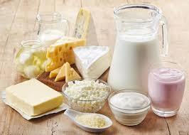 Dairy Products Food Export USA GCC