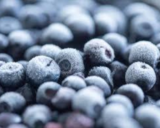 fruits and berries Food Export USA GCC