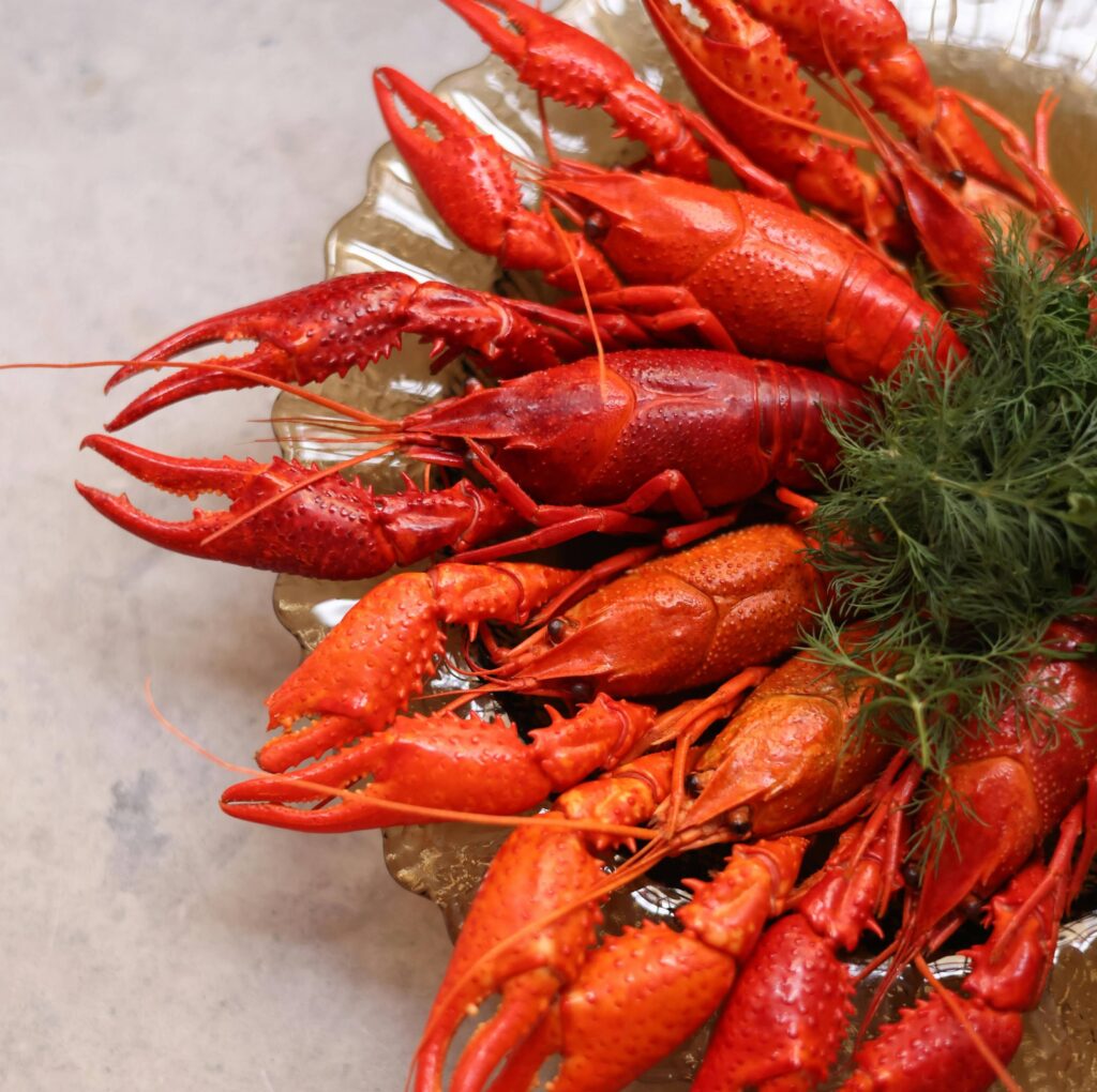 Shrimp Food Export USA GCC